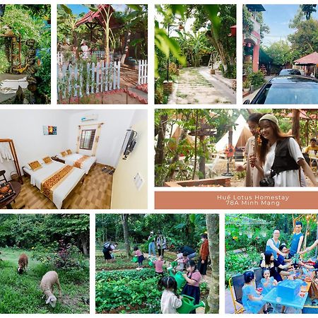 Hue Lotus Homestay Dış mekan fotoğraf